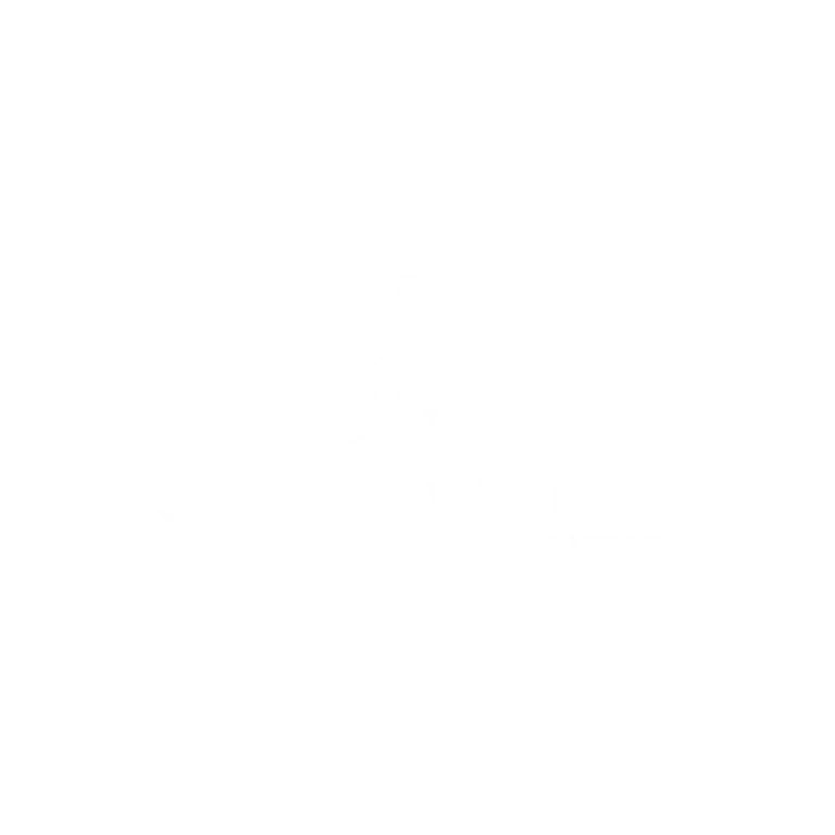 logo Jhonie Walker